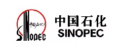 中國石化案例