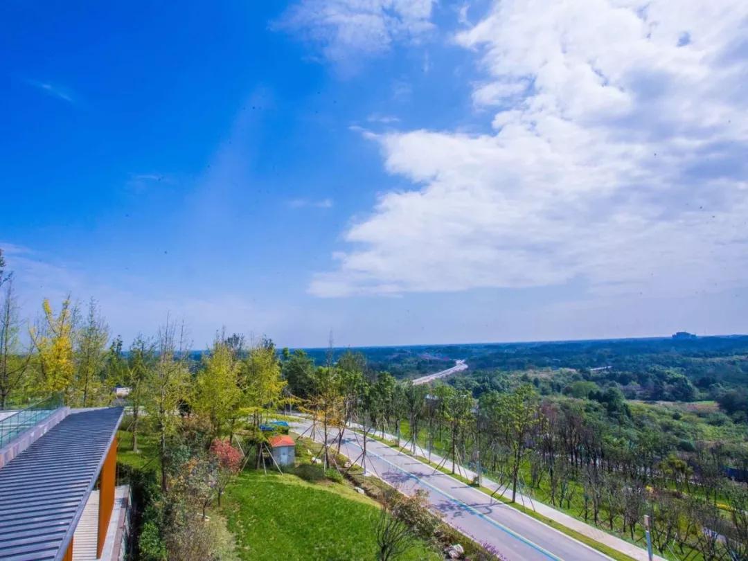 打好打贏藍天保衛戰，臭氧污染治理應該如何推進？